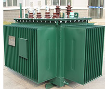 S11/13-(M)-30~2500/10ѹ